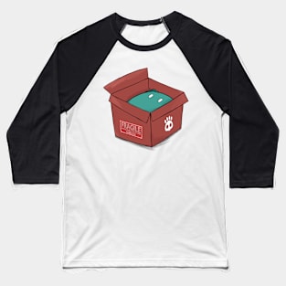 Cat in the Box Baseball T-Shirt